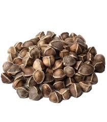 بذور المورينجا